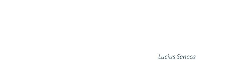 Nicht weil es schwer ist,
 wagen wir es nicht,
 sondern es ist schwer,
 weil wir es nicht wagen.